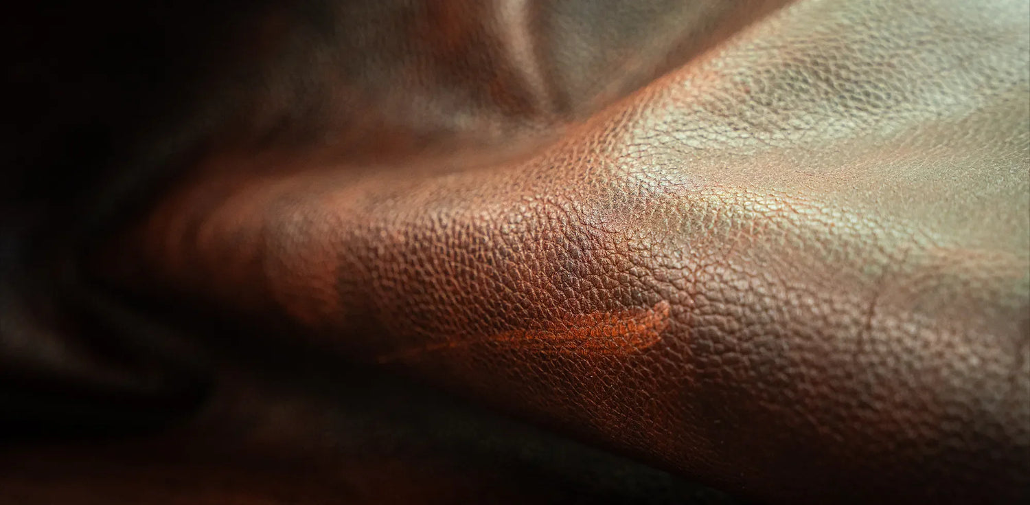 COGNAC GRAINED SHOE CARE