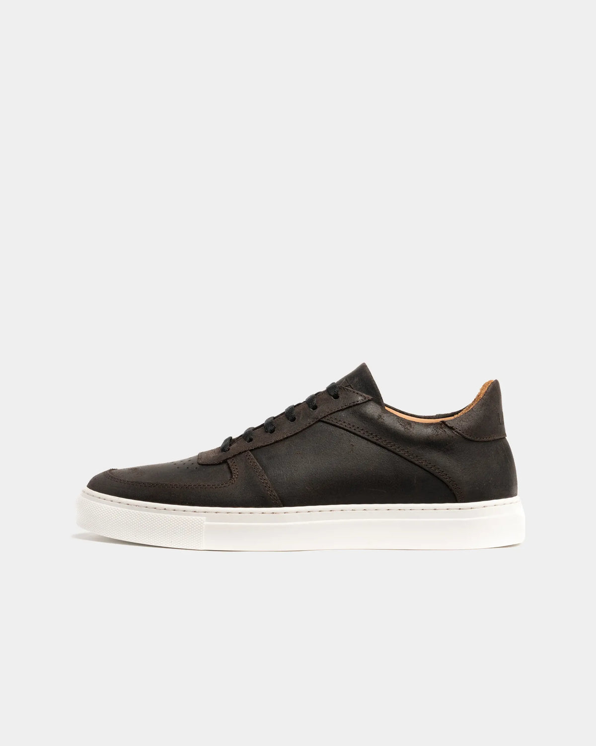 DIDSBURY // WALNUT