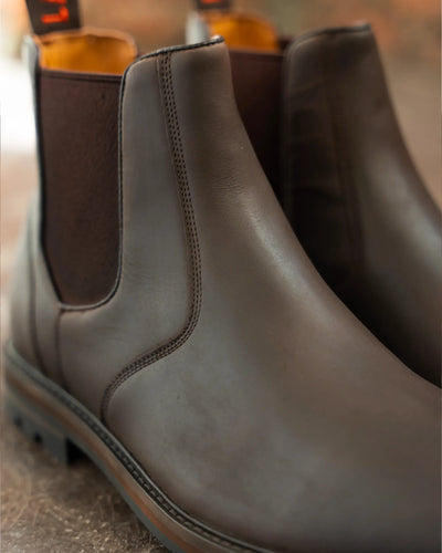 HOGHTON // BROWN DISTRESSED